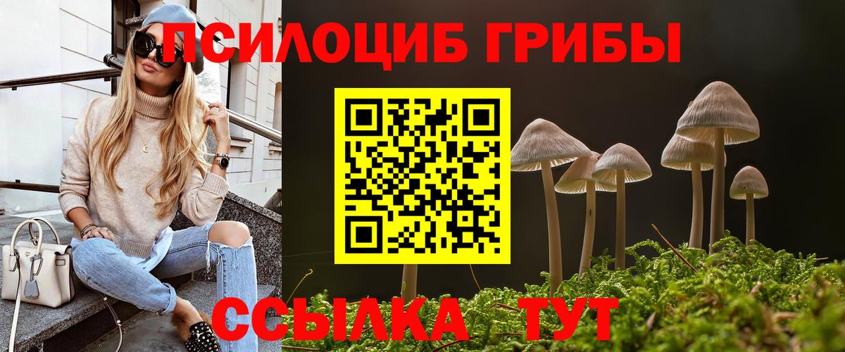 Псилоцибиновые грибы Psilocybine cubensis  Вход с VPN  Таганрог 